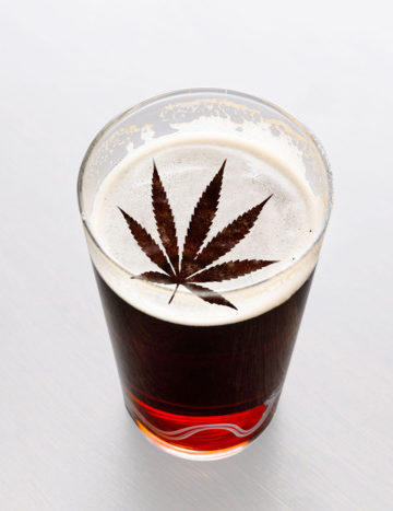 Marijuana beer